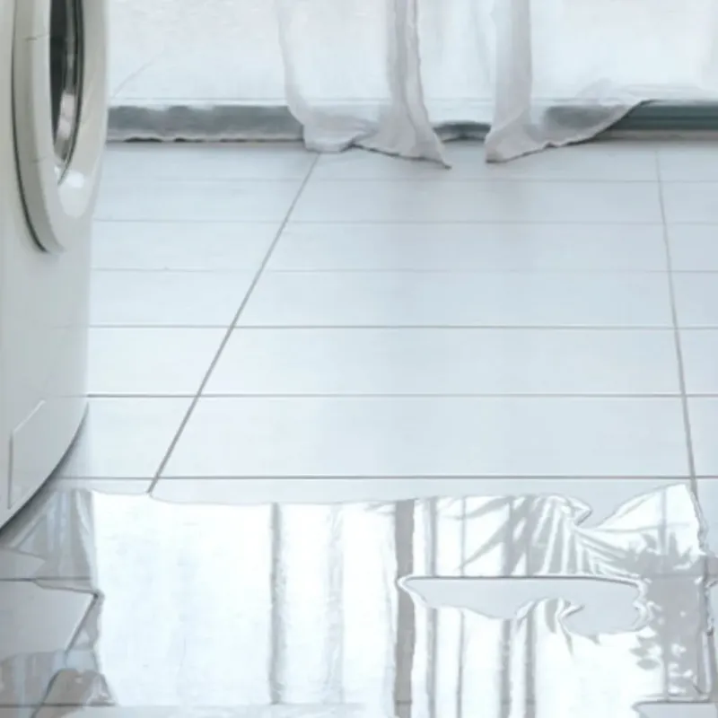 Appliance Leak Cleanup in Anahuac, TX