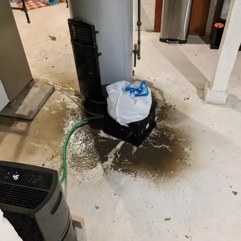 Sewage Backup Cleanup Service in Anahuac, TX